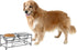 Elevated Dog and Cat Bowls - Decorative 6.5-Inch-Tall Raised Stand with 2 Stainless-Steel Food and Water Bowls - Hold 40Oz Each by  (Black)