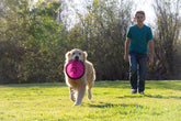 Flippy Flopper 9" Flying Disc Soft Dog Toy, Floats in Water & Safe on Teeth, for All Breeds, Pack of 5 (Colors May Vary)