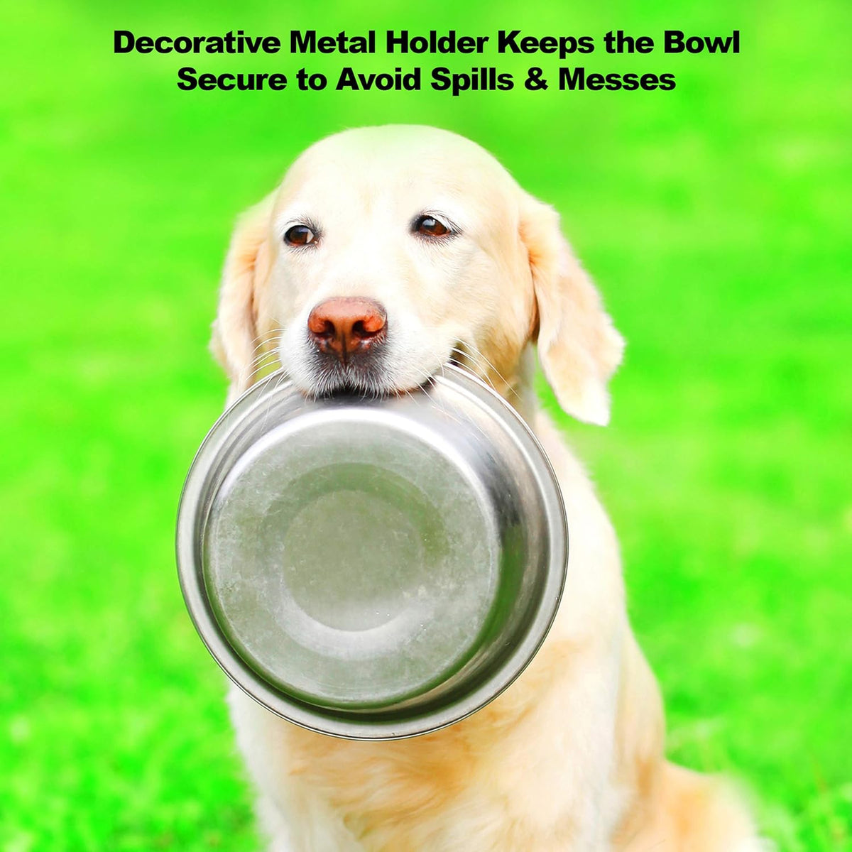 Elevated Dog and Cat Bowls - Decorative 6.5-Inch-Tall Raised Stand with 2 Stainless-Steel Food and Water Bowls - Hold 40Oz Each by  (Black)