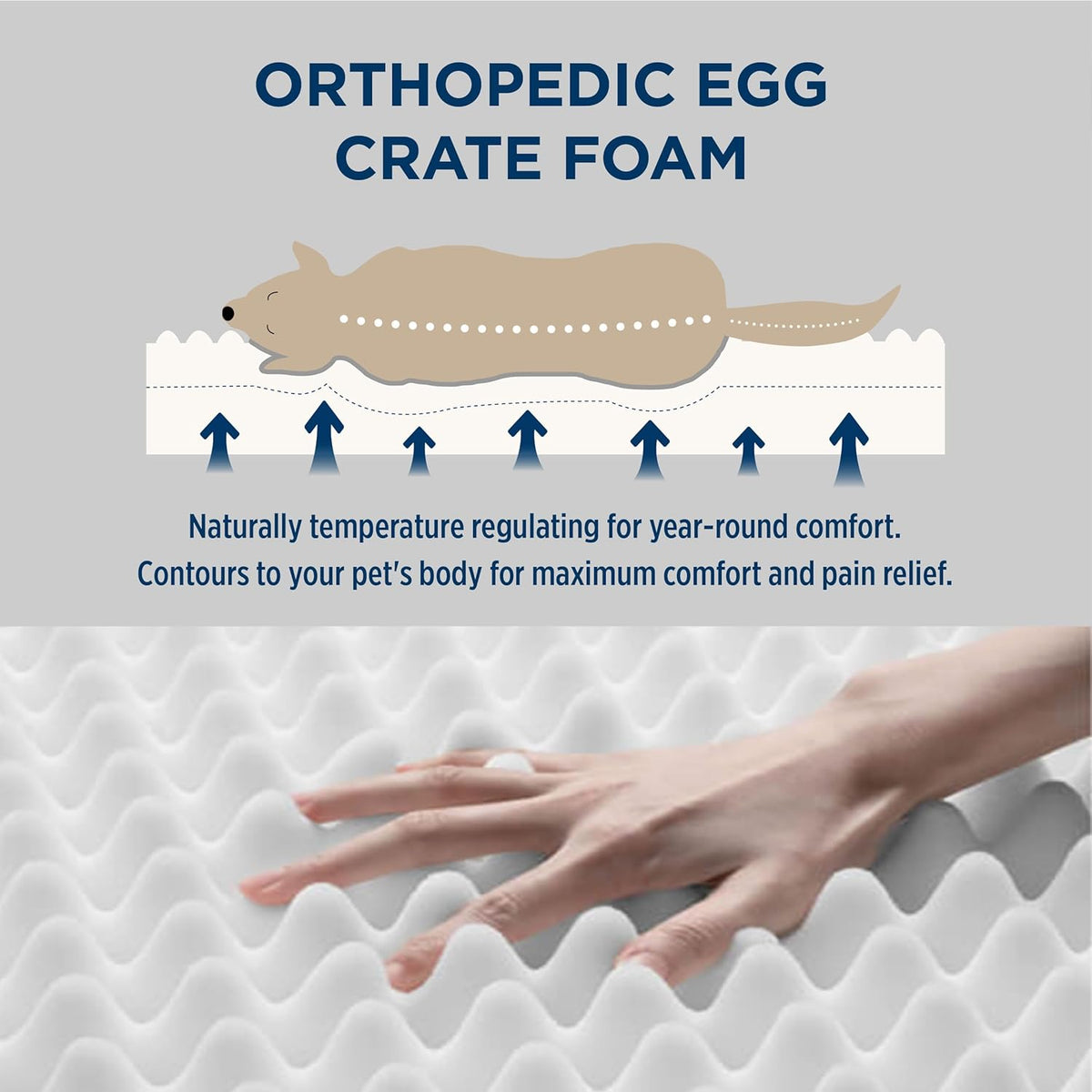 Dog Bed Medium Size Dog - Orthopedic Waterproof Puppy Beds with Removable Washable Cover, Egg Crate Foam Pet Mat, Suitable for Pet up to 35 Lbs