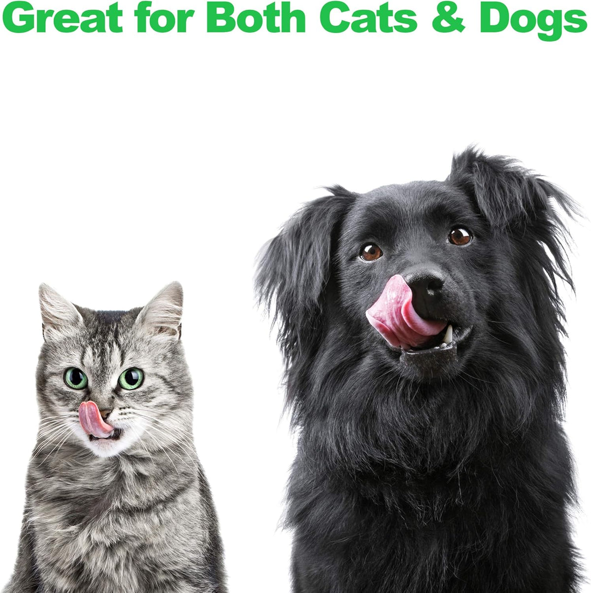 Elevated Dog and Cat Bowls - Decorative 6.5-Inch-Tall Raised Stand with 2 Stainless-Steel Food and Water Bowls - Hold 40Oz Each by  (Black)
